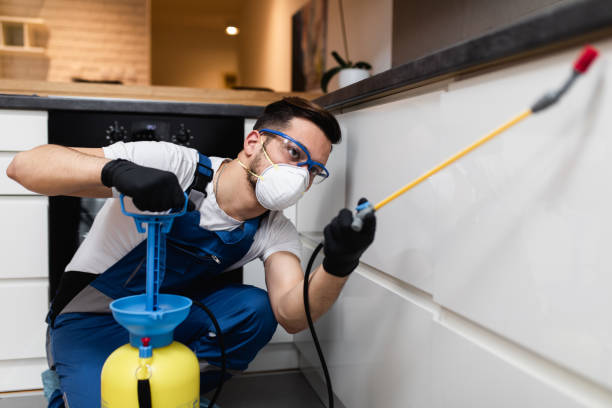 Pest Control Cost in Wapakoneta, OH