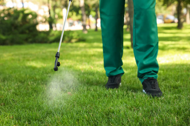 Best Flea Control Services  in Wapakoneta, OH