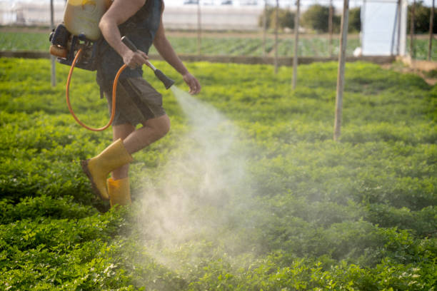 Best Pest Control Cost  in Wapakoneta, OH