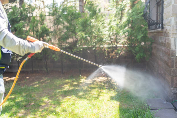 Best Cockroach Control Services  in Wapakoneta, OH