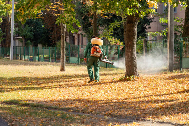 Best Pest Inspection Near Me  in Wapakoneta, OH